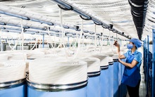 Sau chuỗi tăng "nóng" gấp 6 lần trong một năm, một doanh nghiệp ngành sợi có khả năng bị huỷ niêm yết trên HOSE