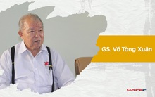 GS Võ Tòng Xuân chỉ ra điều ‘sung sướng nhất’ của người làm khoa học và cơ hội từ giải thưởng VinFuture