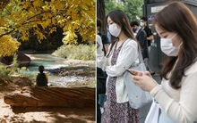 Trả tiền để... ngồi ngơ: Những quán "cafe ngơ" đang gây sốt Hàn Quốc, nổi lên từ một thực tế đáng buồn