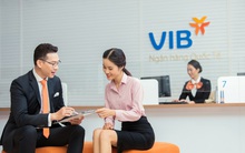 Nhân sự đạt gần vạn người, lợi nhuận tăng liên tục qua các năm, "nhà VIB" đang có thu nhập thế nào?