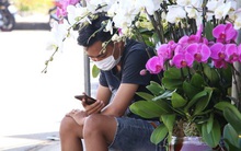 Chợ hoa Tết lớn nhất Đà Nẵng đang ế