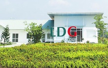 Quý 4, Đầu tư LDG lãi 109 tỷ đồng - cao nhất trong 7 quý gần đây