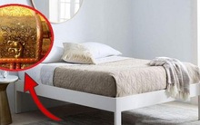Năm mới đặt 2 thứ này dưới gầm giường "hối lộ" Thần Tài, nằm không cũng ra tiền lại còn "thanh tẩy" được xui xẻo