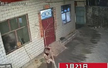 Trên đường về quê ăn Tết, con trai mở xem camera ở nhà thì lặng người vì hành động của bố