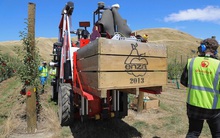 Những startup 'ngã ngựa' năm 2021