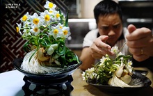 Một thập kỷ phục dựng thú chơi Tết tao nhã Hà Nội xưa và đáp án cho câu hỏi “Có hay không thủy tiên khai hoa đúng thời khắc giao thừa?”