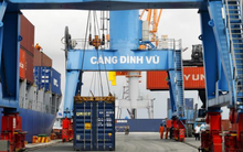 Cảng Đình Vũ (DVP) chốt danh sách cổ đông tạm ứng cổ tức bằng tiền tỷ lệ 15%