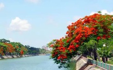 Toàn thành phố Hải Phòng chuyển thành "vùng đỏ"