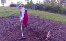 Từng cận kề cái chết, cô gái quyết định bỏ phố về rừng, mua hơn 9000m2 làm nông trại, chọn sống cuộc đời ý nghĩa