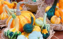 Set bí ngô vừa bé vừa đắt có gì đặc biệt mà nhiều người tìm mua?