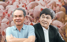 Hành trình nuôi heo của tỷ phú Trần Đình Long và bầu Đức: Đâu là khác biệt giữa "xe lu" và ông bầu hay phát ngôn "gây bão"?
