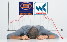Hai doanh nghiệp lâu đời ngành xây dựng  Sông Hồng, Vinaincon: Từ những dự án đình đám đến khoản lỗ luỹ kế hơn nghìn tỷ đồng