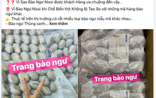 Cẩn trọng xuất xứ bào ngư nhập khẩu giá rẻ bất ngờ