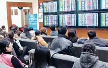 VinaCapital: Lợi nhuận DN Việt Nam vượt trội so với khu vực, sắp có một số thương vụ lớn