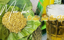 Món bia làm từ đặc sản thu Hà Nội: Khách nước ngoài khen nức nở, cả năm chỉ được uống 1 dịp