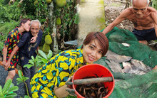 Con rể từ Đức về chơi, choáng ngợp khu vườn 1.500m2 của bố vợ, cả tuần không cần đi chợ