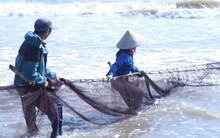 Khám phá nghề 'đi giật lùi' trên biển Cửa Lò