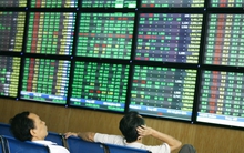 Những cổ phiếu đắt đỏ trên sàn chứng khoán