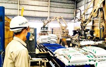 Nhiều tập đoàn kinh tế, tổng công ty Nhà nước thua lỗ hàng ngàn tỉ đồng