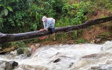 Thót tim cảnh cô giáo vùng cao bám thân cây vượt suối đi dạy học