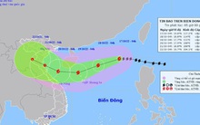 Bão số 6 rất mạnh trên biển