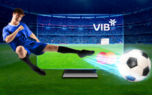SAMSUNG giảm đến 60%, tặng TV Frame 43’’ cho chủ thẻ VIB mùa World Cup