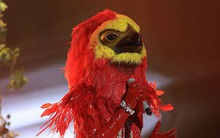 Nhà thiết kế phục trang cho Ca Sĩ Mặt Nạ lên tiếng về Phượng Hoàng Lửa suýt bị lộ mặt