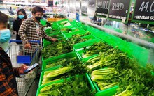 Bối rối trước 'ma trận' tem an toàn