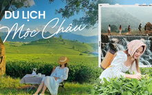 Lên kế hoạch đi Mộc Châu ngắm thung lũng hoa cải với chi phí chỉ 3,5 triệu đồng