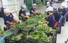 Kiểm soát chất lượng hàng hóa tại siêu thị