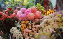 TP Hồ Chí Minh: Hoa tươi hút khách trong ngày 20/10