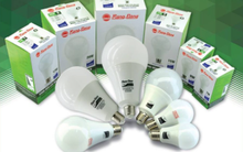 Bóng đèn Rạng Đông (RAL) lãi trước thuế gần 350 tỷ sau 9 tháng, vượt kế hoạch cả năm