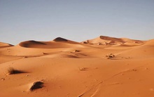 Xây dựng trang trại rau sạch trên sa mạc Sahara