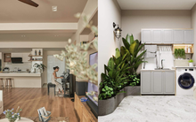 Người trong cuộc trần tình: Chi tiền tỷ cải tạo nhà, sao không để tiền đó đi đầu tư?