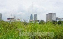 Đà Nẵng rà soát loạt dự án được giao đất nhưng... bỏ hoang