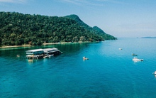 Tận mắt xem ngư dân Phú Quốc khai thác kho ngọc tiền tỷ dưới đáy biển