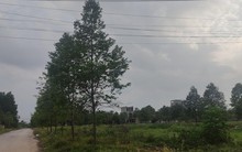 Đề nghị xử lý loạt đơn vị trúng đấu giá chậm trả 'sổ đỏ' cho dân