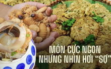 Giật mình trước những món ăn bề ngoài kinh dị nhưng cực ngon của Việt Nam