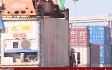 Bình ổn giá cước và dịch vụ hàng hải