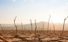 Trái đất sẽ như thế nào nếu không có mưa?