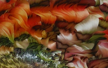 Bất ngờ trước những hình ảnh kỳ lạ của thế giới xung quanh dưới kính hiển vi