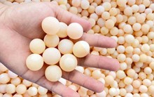 Loại trứng đẹp như ngọc, tưởng không ăn được mà ‘cháy’ hàng quanh năm