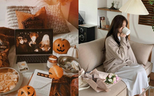 Có những người thấy đám đông là sợ, ngày lễ chỉ muốn ở nhà