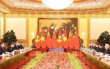 Tổng Bí thư Nguyễn Phú Trọng hội đàm với Tổng Bí thư, Chủ tịch nước Tập Cận Bình