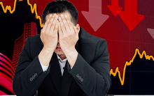 Những doanh nghiệp "lỗ càng thêm lỗ" vì "bắt đáy" cổ phiếu HPG