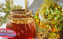 Hoa đu đủ đực ngâm cùng thứ này sẽ thành "thuốc quý như vàng"