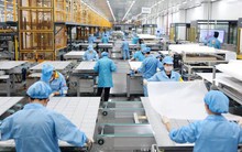 Giá năng lượng tăng cao, pin năng lượng mặt trời của Trung Quốc 'đắt hàng'