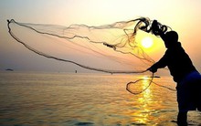 Lãnh đạo và cổ đông nội bộ dự kiến tung 2.300 tỷ đồng "đỡ giá" cổ phiếu trong tháng 11, doanh nghiệp nào được mua ròng nhiều nhất?