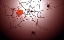 Thông điệp cứng rắn với sở hữu chéo ngân hàng, cho vay “sân sau”