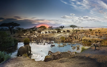 15 hình ảnh ấn tượng nhất trong suốt một thập kỷ qua